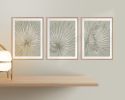 Nobilis Palm - 1 & 2 & 3 - Grey Green - Framed Art | Prints by Patricia Braune. Item composed of paper