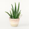 Desert Flower Medium Planter | Vase in Vases & Vessels by MOkun | Bay Area Made x Wescover 2019 Design Showcase in Alameda. Item composed of cotton
