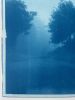 Caminante No Hay Camino (35x23" hand-printed cyanotype, 1/3) | Photography by Christine So. Item composed of paper in country & farmhouse or rustic style