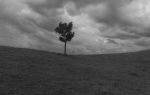 Elevation – Fine Art Photography | Photography by ANDRES GALAN. Item composed of canvas and aluminum in contemporary or modern style