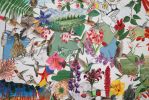 Hummingbirds of North America | Oil And Acrylic Painting in Paintings by Trena McNabb | Red Oak Brewery in Whitsett