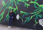 Staghorn Ferns | Murals by Mari Pohlman | Fiction Coffee in Dallas