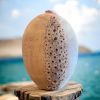 Marine Sculptural Vase | Vases & Vessels by Elena Miller. Item composed of ceramic compatible with contemporary and coastal style