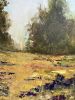 Texas Landscape Painting on Canvas - Hill Country | Oil And Acrylic Painting in Paintings by Filomena Booth Fine Art. Item made of canvas works with contemporary & southwestern style