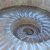 Ammonite Fountain | Public Sculptures by Jim Sardonis | ReArch Company, Inc. in South Burlington. Item made of bronze