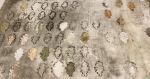 Engraving leaves | Prints by Vero Gonzalez Ugarte. Item composed of linen