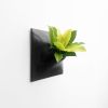 Node XL Wall Planter, 15" Mid Century Modern Planter, Black | Plant Hanger in Plants & Landscape by Pandemic Design Studio. Item composed of stoneware compatible with minimalism and mid century modern style