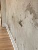 Custom Plaster wall | Wall Treatments by EMILY POPE HARRIS ART