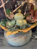 Vibrant orchid arrangement | Floral Arrangements by Fleurina Designs | LUNA Mexican Kitchen - The Alameda in San Jose