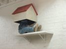 artworks at a wall | Wall Hangings by Hans van Meeuwen