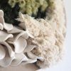 Shells | Wall Sculpture in Wall Hangings by Woventimes by Alejandra Franco. Item composed of fabric and ceramic