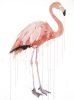 Flamingo | Paintings by Dave White