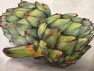 Prickly Pair | Oil And Acrylic Painting in Paintings by Cindy Mathis Murals and Fine Art. Item made of canvas & synthetic