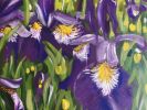 Away in the Iris Field | Oil And Acrylic Painting in Paintings by Judy Century Art. Item composed of synthetic