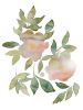 Rose Study No. 81 : Original Watercolor Painting | Paintings by Elizabeth Becker. Item made of paper works with boho & minimalism style