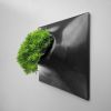 Modern Ceramic Wall Planter Living Wall - Node Wall Planter | Plants & Landscape by Pandemic Design Studio. Item composed of ceramic in mid century modern or contemporary style