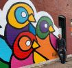 Birds On Boyle Mural | Street Murals by Jeff Kapfer | The Grove in St. Louis. Item composed of synthetic