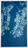 Chinese Elm Triptych (three 40 x 20" original cyanotypes) | Photography by Christine So