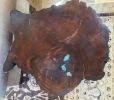 Claro Walnut End Table with Kingman Turquoise Inlay | Tables by Natural Wood Edge Creations by Rick Griggs. Item made of wood