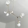 Blossom Chandelier | Chandeliers by Neptune Glassworks. Item made of brass & glass