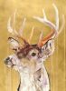 Gold Leaf Stag | Paintings by Dave White