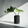 Wide Cylinder Vase in Textured Carbon Black Concrete | Vases & Vessels by Carolyn Powers Designs. Item composed of concrete and glass in minimalism or contemporary style