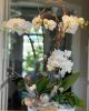 Fresh Orchid Arrangement | Floral Arrangements by Fleurina Designs. Item made of ceramic