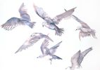 Seagulls in Flight : Original Watercolor Painting | Paintings by Elizabeth Beckerlily bouquet. Item made of paper works with minimalism & contemporary style