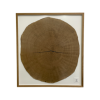 Tree Ring Wall Art Dendrochronology | Wall Sculpture in Wall Hangings by Fox Farm Design Build. Item made of wood compatible with country & farmhouse and industrial style