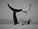 Whale Dance | Public Sculptures by Jim Sardonis. Item composed of bronze and concrete