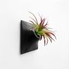 Node S Wall Planter, 6" Mid Century Modern Planter, Black | Plant Hanger in Plants & Landscape by Pandemic Design Studio. Item made of stoneware compatible with minimalism and mid century modern style