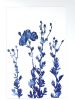 Delft Tree Poppies III (18 x 12" Cyanotype Painting) | Mixed Media in Paintings by Christine So