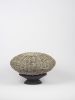 Canestrella | Decorative Bowl in Decorative Objects by gumdesign. Item composed of wood and stone in modern style