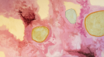 Play #11 – Abstract Oil Painting | Oil And Acrylic Painting in Paintings by Vincent Salvati – Contemporary Abstract Painter | NJ`. Item made of canvas compatible with minimalism and contemporary style