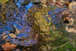 Water Reflections | Prints by Connie Villa. Item composed of paper