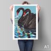 Black Swans | Prints in Paintings by Paul Manwaring Fine Art Prints. Item composed of paper in traditional style