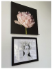 Peony Bloom Botanical Floral Art | Photography by Tal Shpantzer | Talfoto Studio | Brooklyn in Brooklyn