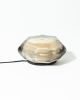 Mollusk Table Lights | Table Lamp in Lamps by Studio S II. Item made of glass works with contemporary style