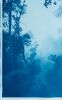 Morning Mist (35 x 23" hand-printed cyanotype, ed. 1 of 3) | Photography by Christine So. Item composed of paper in country & farmhouse or rustic style