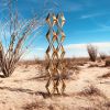 Oasis, 2018 | Public Sculptures by Christopher Puzio | Anza-Borrego Desert State Park in Borrego Springs