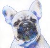 MY FRENCH BOULEDOGUE | Oil And Acrylic Painting in Paintings by Virginie SCHROEDER. Item composed of canvas in art deco style