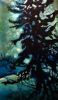 Laurentian Nocturn | Oil And Acrylic Painting in Paintings by Lorraine Downey Artist. Item made of canvas with synthetic