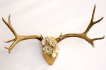 Porcelain Magnolia Antler Sculpture | Art & Wall Decor by Cassandra Smith | Presidio II in Austin