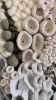 Commission Large textile wall sculpture -SAVANNA | Tapestry in Wall Hangings by Anna Baranova Art. Item made of cotton with fiber works with contemporary & modern style