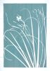 Silver Iris: 33 x 22 in. original gray cyanotype | Photography by Christine So. Item made of paper compatible with boho and japandi style