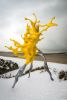 STUDIO NICK ERVINCK | Public Sculptures by STUDIO NICK ERVINCK. Item composed of steel