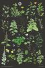 Urban Wild (Print) | Prints by Alyssa Dennis. Item composed of paper