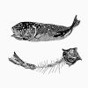 Fish & Bones | Prints by Chrysa Koukoura. Item composed of paper compatible with traditional style