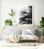 Minimalist palm tree wall art, 'Palm Fronds' photograph | Photography by PappasBland. Item composed of paper in minimalism or contemporary style