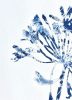 Delft Agapanthus 4 (18 x 24" painting-cyanotype hybrid) | Watercolor Painting in Paintings by Christine So
